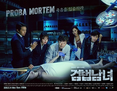 Download Drama Korea Investigation Couple Subtitle Indonesia